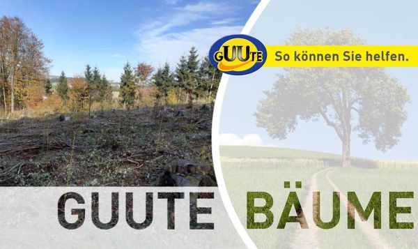 Projektfoto Waldlehrinsel Altenberg Mayr - GUUTE Bäume