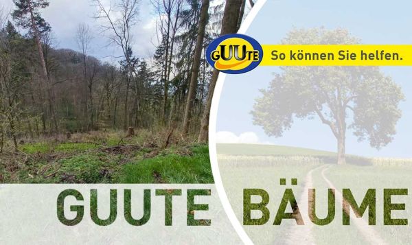 16. Unterstützungsprojekt Wald-Lehr-Insel Steyregg - GUUTE Bäume
