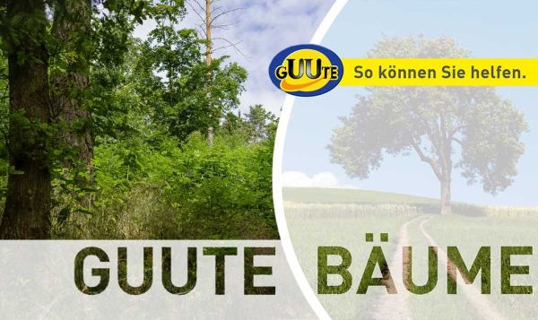Projektfoto Waldlehrinsel Altenberg Hauser - GUUTE Bäume