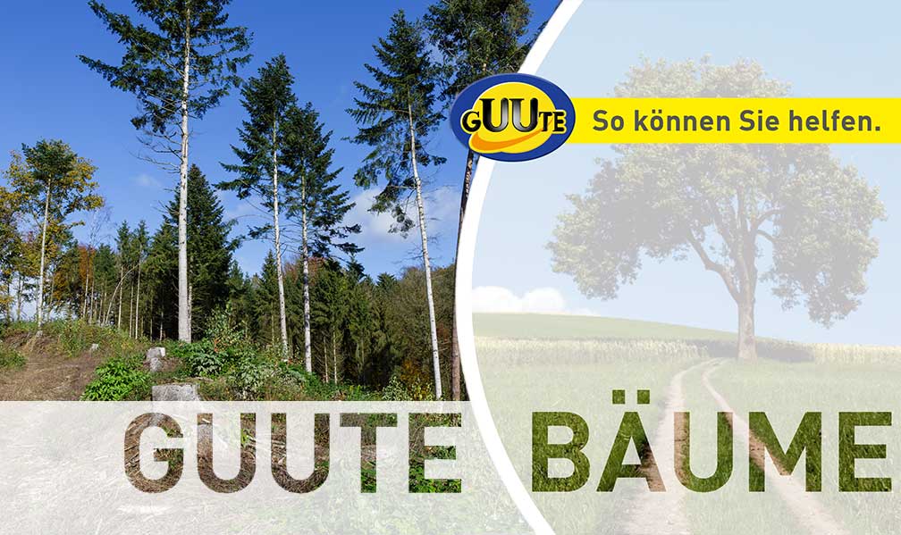 GUUTE Bäume Projekt Puchenau