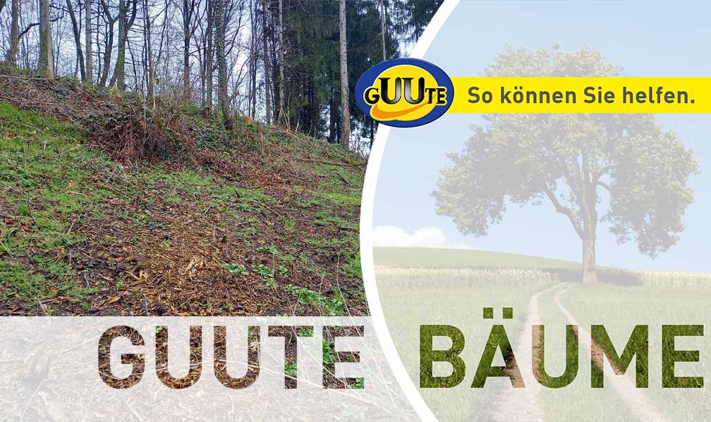 18. Unterstützungsprojekt Wald-Lehr-Insel Theresiengut - GUUTE Bäume